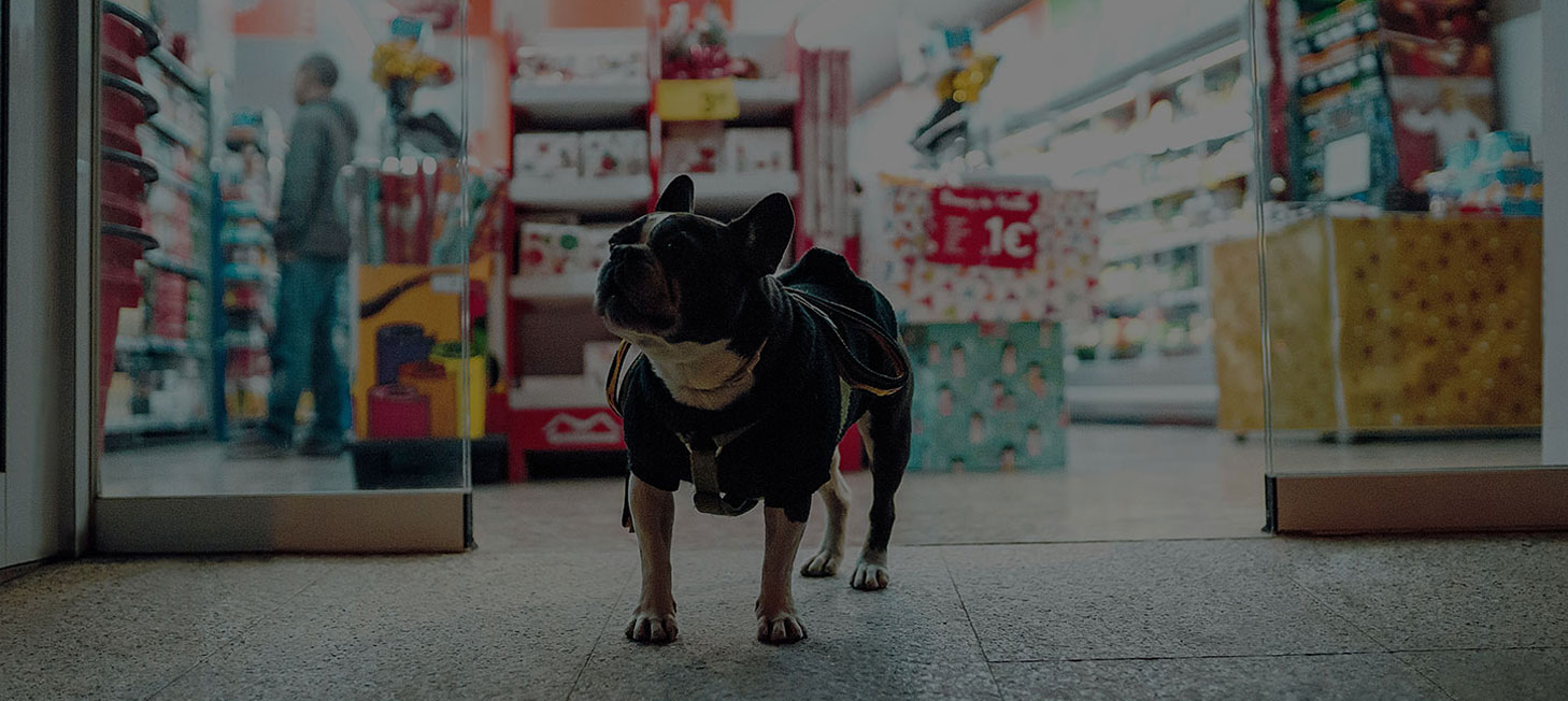 Pet Shop